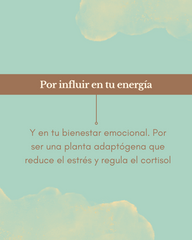 Maca 120g