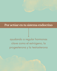 Maca 120g