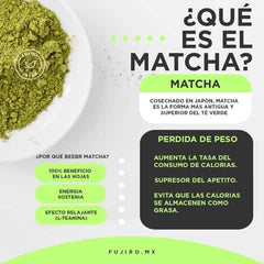 TE MATCHA 60g